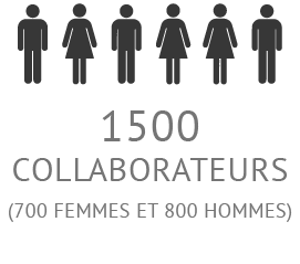 1000 collaborateurs
